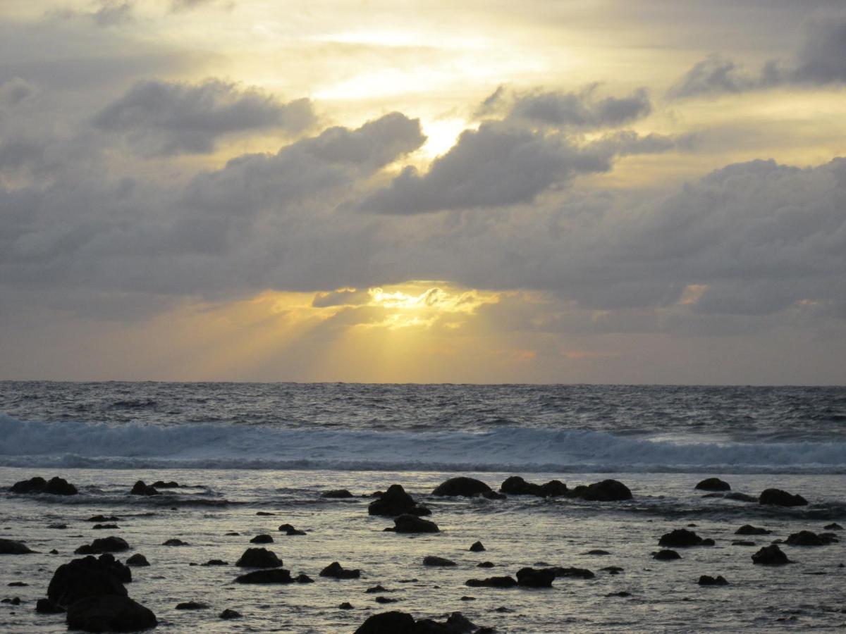 Jo'S Farmstay-Charming Holiday Farm Close To Famous Muri Beach Rarotonga Exteriér fotografie