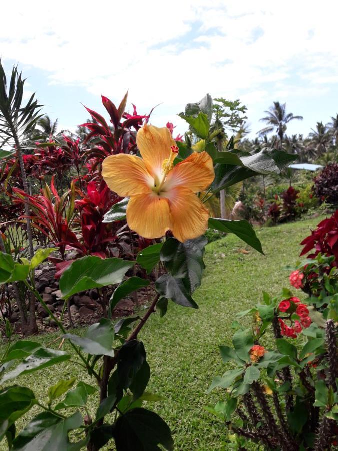 Jo'S Farmstay-Charming Holiday Farm Close To Famous Muri Beach Rarotonga Exteriér fotografie